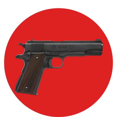 Gun